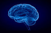 Como o exerc&iacute;cio f&iacute;sico transforma o c&eacute;rebro  estudos detalham efeitos da atividade f&iacute;sica na sa&uacute;de cerebral