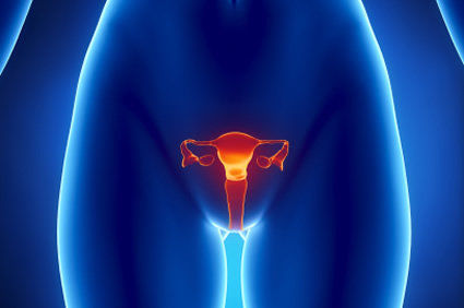 A curta expectativa de vida reprodutiva foi associada a um risco aumentado de eventos cardiovasculares n&atilde;o fatais em mulheres de meia-idade