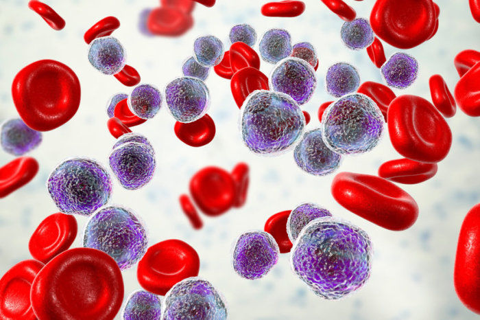 C&eacute;lulas T CAR redirecionadas para a GRP78 da superf&iacute;cie celular exibem atividade robusta contra a leucemia mieloide aguda e n&atilde;o t&ecirc;m como alvo c&eacute;lulas progenitoras hematopoi&eacute;ticas
