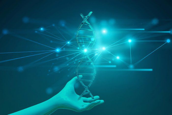 Cientistas descobrem mais de 1.000 variantes genéticas ligadas à personalidade