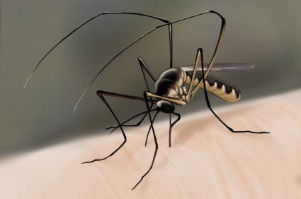 Estudo mostrou que imunogenicidade e seguran&ccedil;a de doses fracionadas de vacinas contra a febre amarela n&atilde;o s&atilde;o inferiores &agrave; dose padr&atilde;o