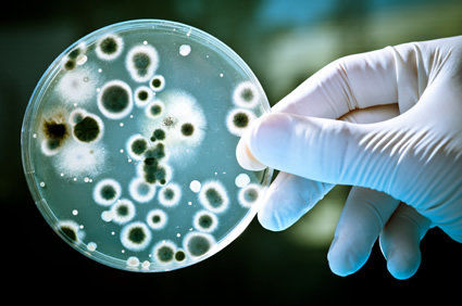 Inteligência artificial descobre nova classe de antibióticos para matar bactérias resistentes a medicamentos