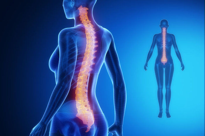 Les&atilde;o da medula espinhal pode suprimir a fun&ccedil;&atilde;o imunol&oacute;gica