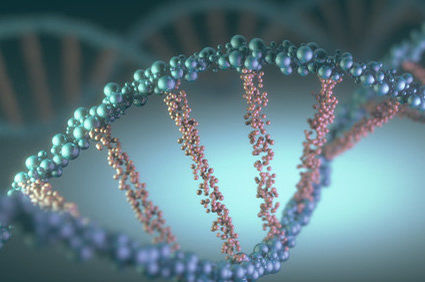 Nova descoberta abre caminho para prolongar a vida humana: cientistas transferem com sucesso gene associado &agrave; longevidade