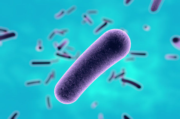 Novo antibi&oacute;tico oral, gepotidacina, se mostrou eficaz contra infec&ccedil;&otilde;es do trato urin&aacute;rio n&atilde;o complicadas