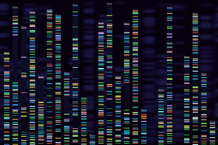 Novo "atlas" do genoma da DeepMind mapeia os efeitos de todas as nove bilh&otilde;es de muta&ccedil;&otilde;es gen&eacute;ticas humanas