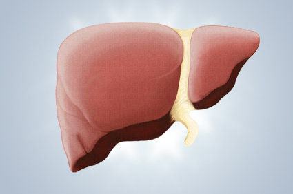 Obesidade amplifica os efeitos nocivos do &aacute;lcool no f&iacute;gado, aumentando a incid&ecirc;ncia de doen&ccedil;a hep&aacute;tica