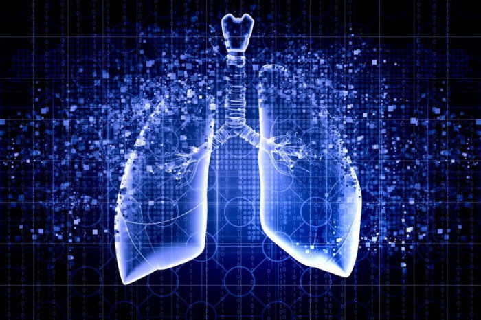 Pandemia de Covid-19 pode estar associada &agrave; resist&ecirc;ncia a antibi&oacute;ticos da bact&eacute;ria da pneumonia