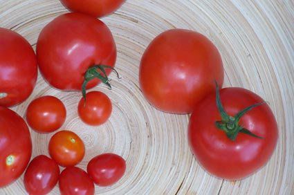 Polpa de tomate concentrada protege a pele contra os raios ultravioletas, prevenindo o c&acirc;ncer de pele e o fotoenvelhecimento