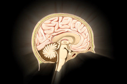 Privação de sono aumenta a atividade cerebral do núcleo anatômico das reações instintivas de fuga e luta