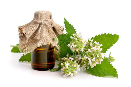 SUS aumenta as op&ccedil;&otilde;es de tratamento aos usu&aacute;rios com amplia&ccedil;&atilde;o do uso de plantas medicinais, fitoterapia, homeopatia, acupuntura, termalismo e outras pr&aacute;ticas terap&ecirc;uticas