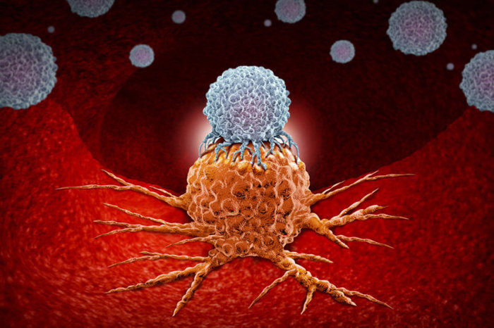 Vulnerabilidade de c&eacute;lulas cancerosas aponta para potencial caminho de tratamento para c&acirc;nceres agressivos