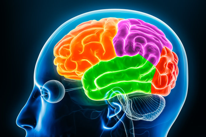 Amplo estudo genético aponta que transtornos psiquiátricos supostamente distintos podem ter as mesmas causas