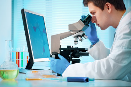 Embriões sintéticos de camundongos com cérebro rudimentar foram cultivados em laboratório