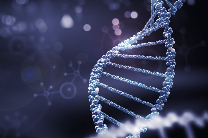 Enzima CRISPR incomum mata c&eacute;lulas cancerosas ao despeda&ccedil;ar seu DNA