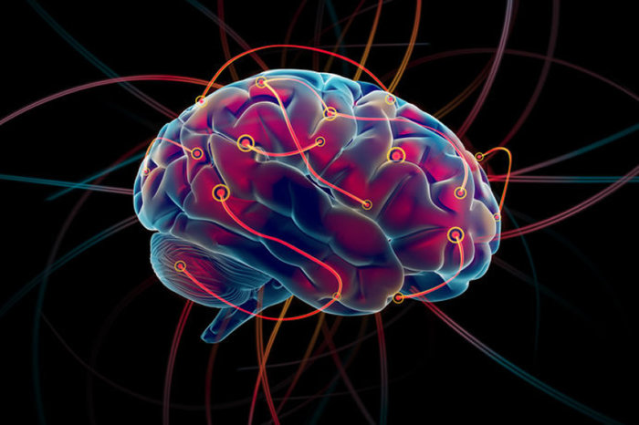 Estudo demonstra que a neuromodulação de alta frequência melhora o comportamento obsessivo-compulsivo
