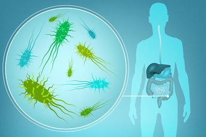 Pacientes com diabetes autoimune latente possuem características diferentes da microbiota intestinal e do metabolismo