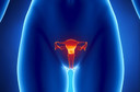 O que h&aacute; de novo em ginecologia e obstetr&iacute;cia: confira os principais avan&ccedil;os divulgados nos &uacute;ltimos meses